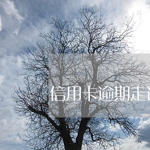 信用卡逾期走访调查 民生 信用卡逾期走访调查 民生